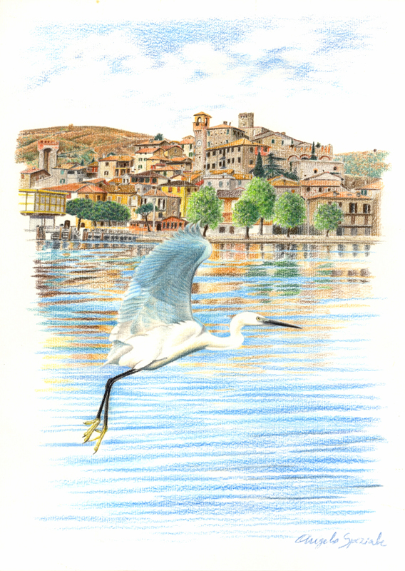Garzetta